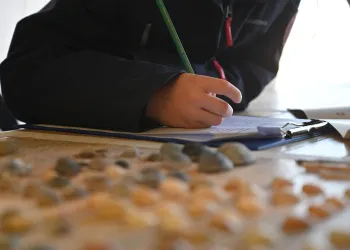 persoon noteert op telformulier